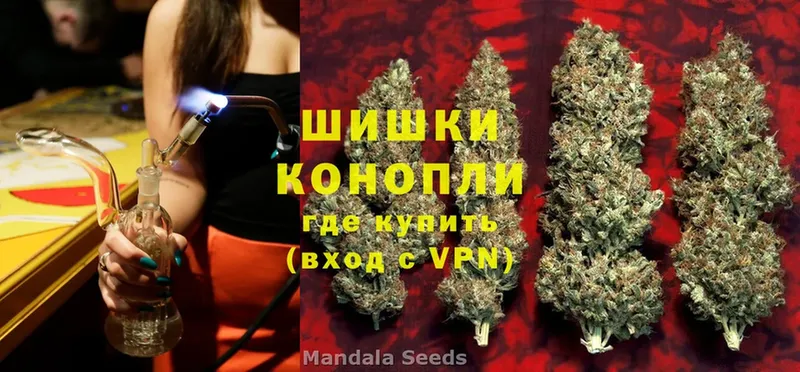 купить наркотики сайты  Анжеро-Судженск  Канабис SATIVA & INDICA 